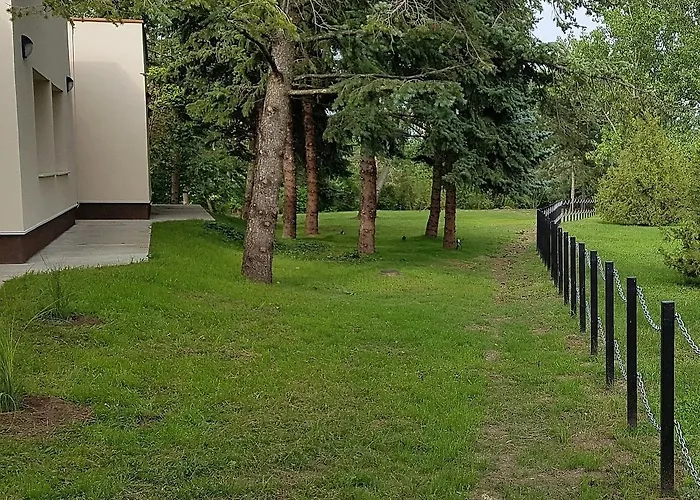 Clementine * Százhalombatta